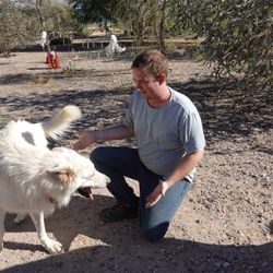 A man kneeling down to pet a dog.