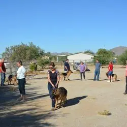 A group of people and their dogs in the dirt.