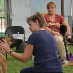 Two women sitting on the ground with a dog.