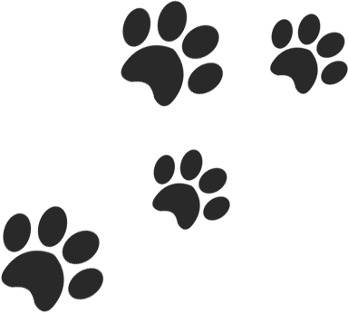 A green background with black paw prints.