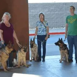 A group of people standing around with dogs.