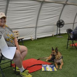 A woman sitting in a chair with her dog.