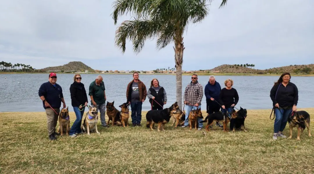 A group of people and their dogs standing in front of the water.