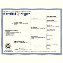 A certified pedigree certificate is shown.
