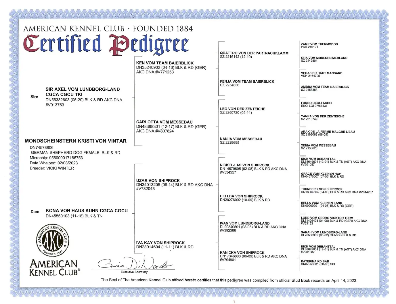 A certificate of authenticity for an american kennel club dog.