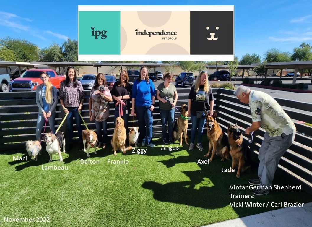 A group of people standing around with dogs.