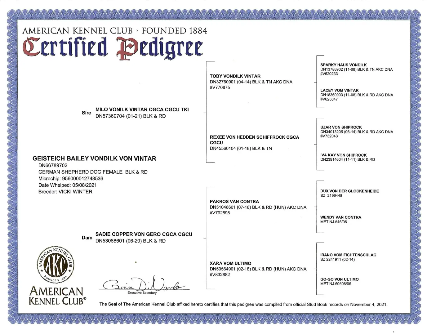 A certificate of authenticity for an american kennel club certified pedigree.