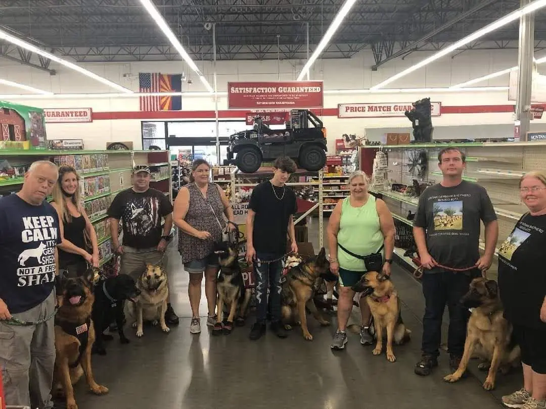 A group of people and dogs in a store.
