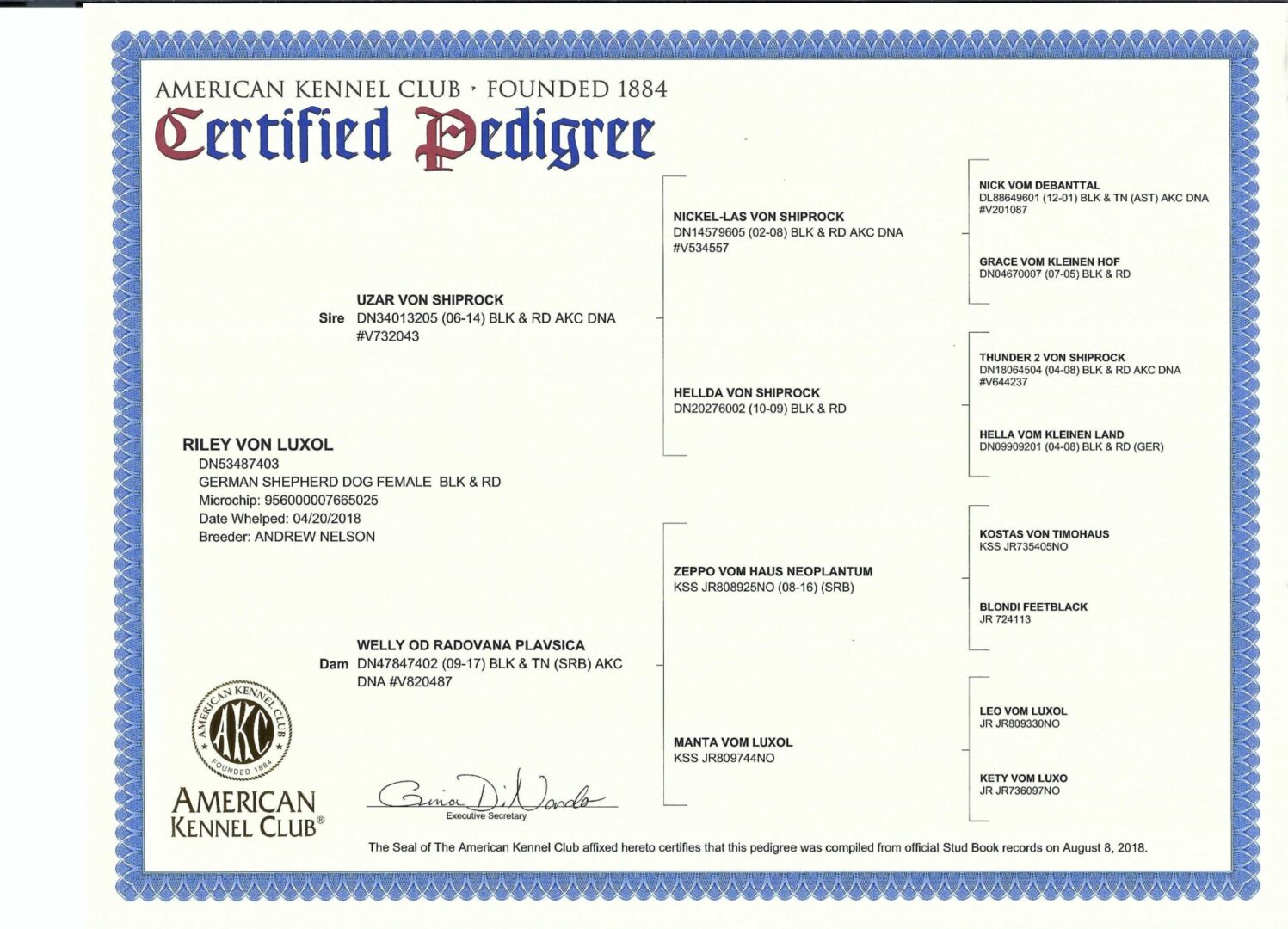 A certificate of birth for an american kennel club dog.