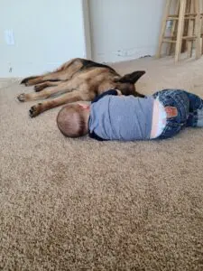 A baby and a dog laying on the floor