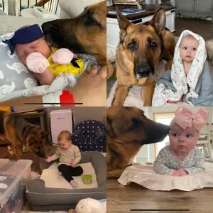 A collage of pictures with babies and dogs.