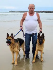 A man and two dogs walking on the beach.