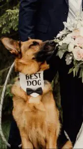 A dog wearing a bow tie and the words " best dog ".