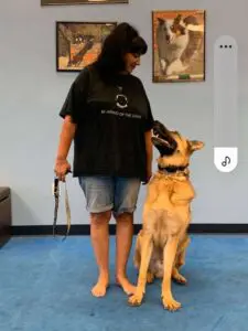 A woman standing next to a dog on the floor.