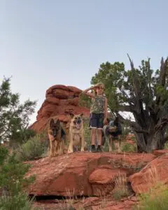 A man standing on top of a rock with two dogs.