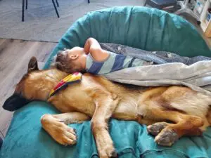 A boy and his dog sleeping in the sun.