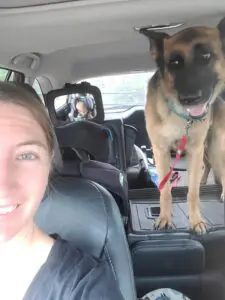 A woman and her dog in the back of a car.