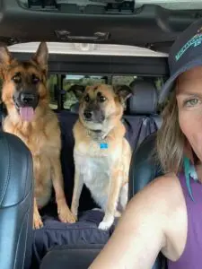 A woman and two dogs in the back of a car.