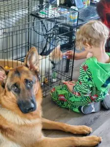 A boy and his dog are sitting in front of the cage.