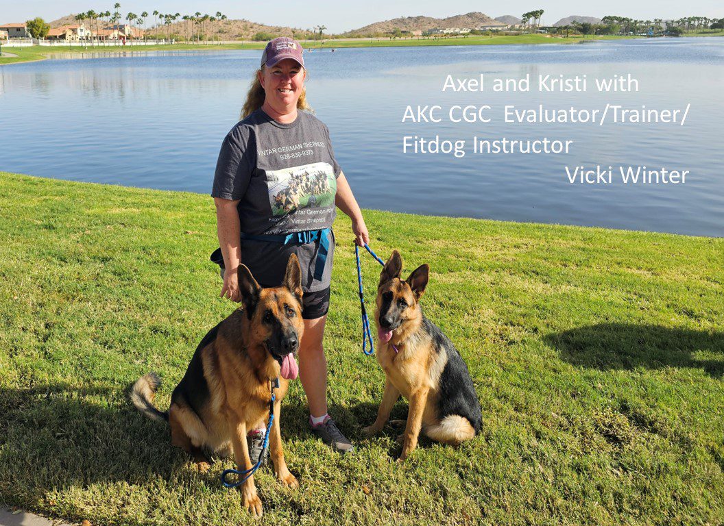 A woman and two dogs standing in the grass.