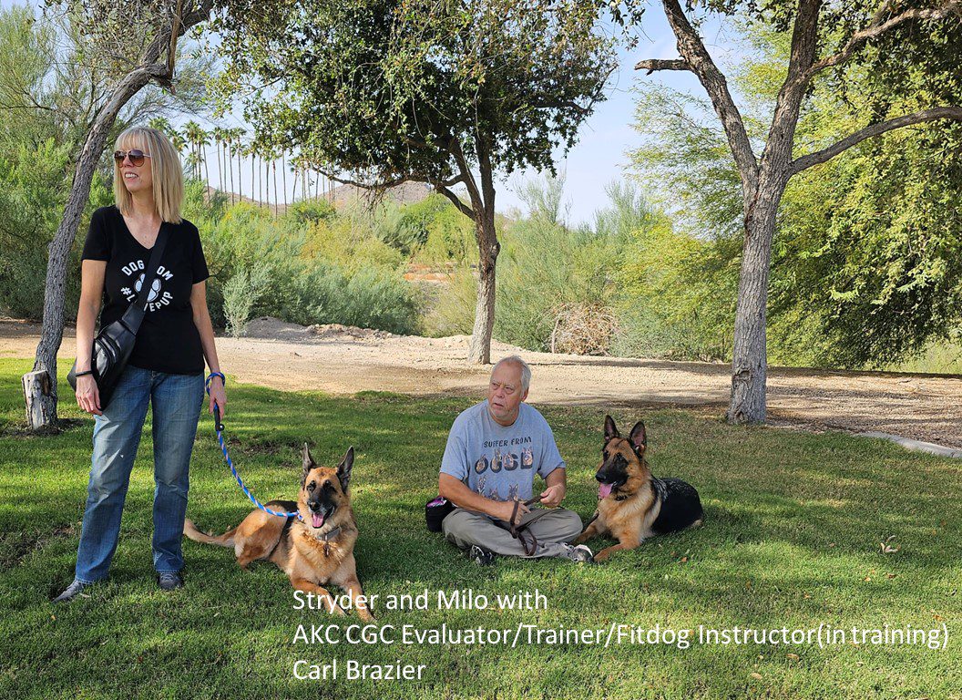 A man and woman sitting in the grass with two dogs.