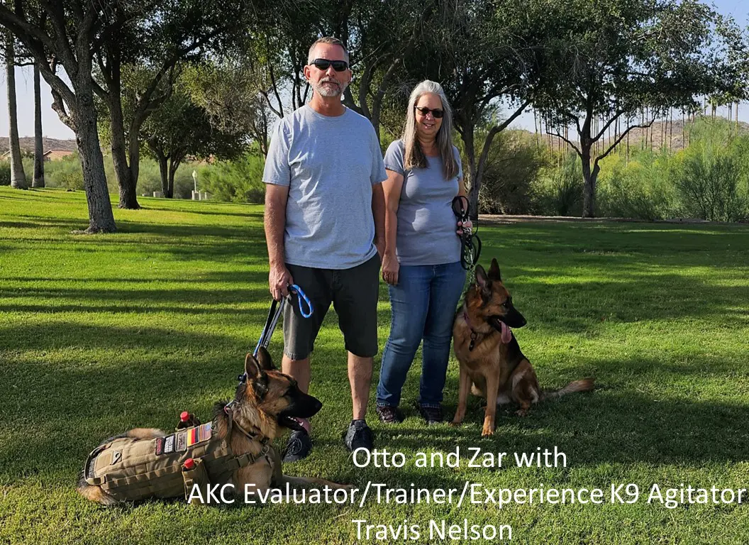 A man and woman standing with two german shepherds.